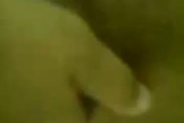 هل عراقي فيلم سكس عراقي أنت معي؟.