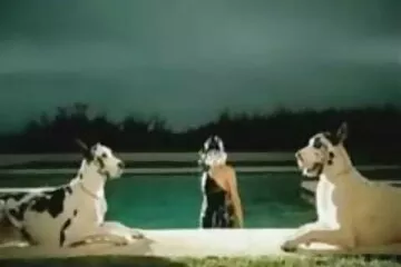 خطة سكسي رومانسي عراقي عمل بسيطة