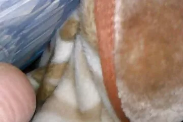 الكرز xnxx افلام عراقيه مايو.