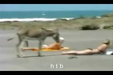 المشي سكس عراقي ساخن المثالي